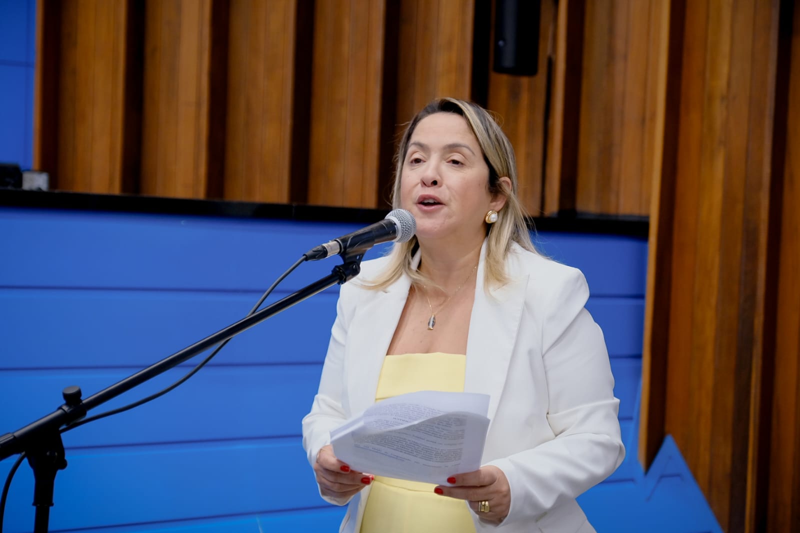 Lia Nogueira solicita pavimentação de estrada essencial para Itaporã e Dourados