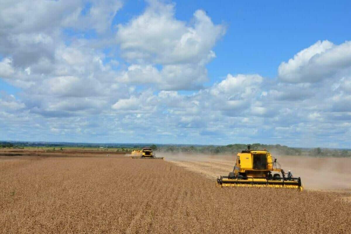 Com fim do vazio sanitário, produtores de MS iniciam plantio da soja com expectativa de safra maior